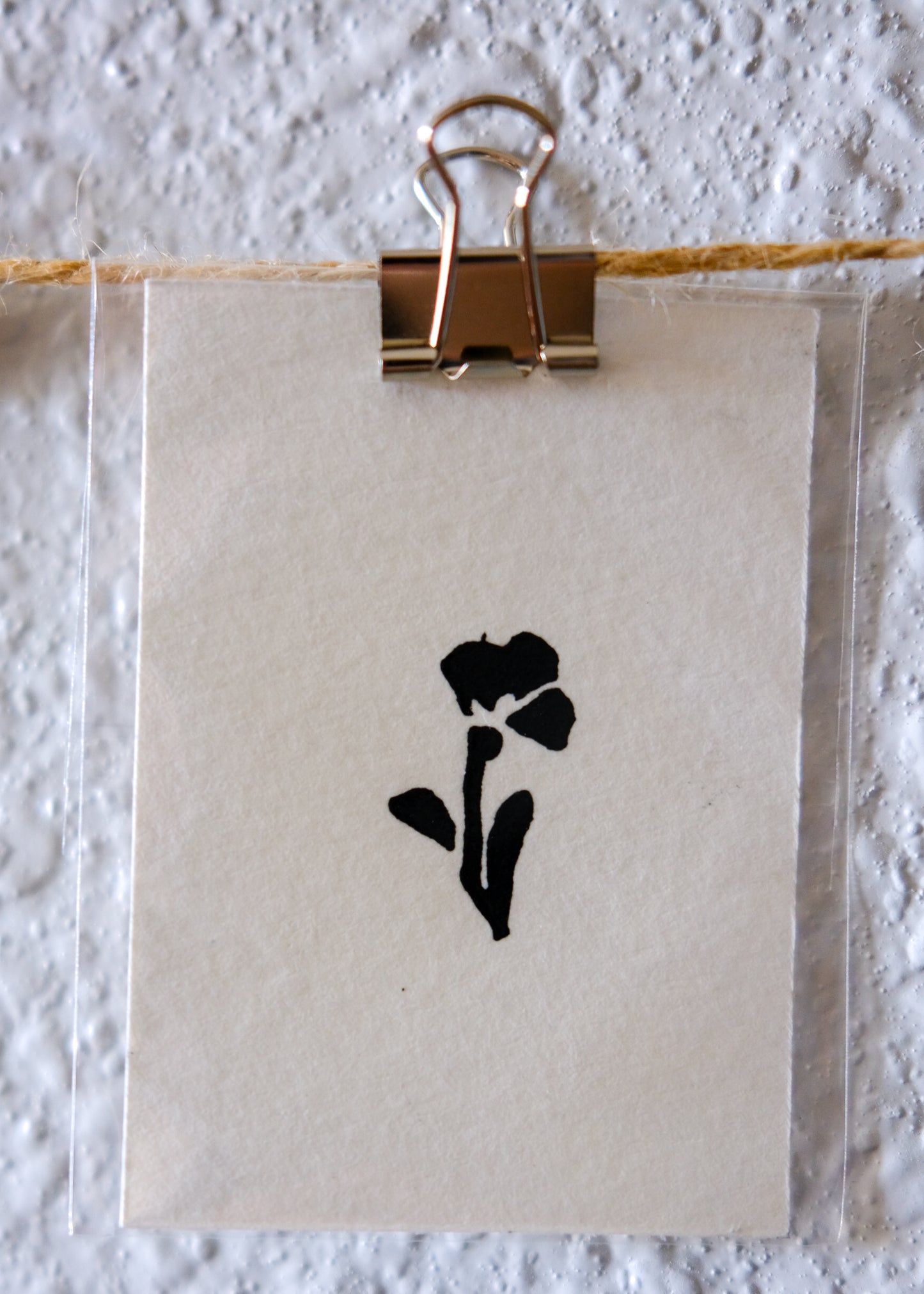 Freesia - flower