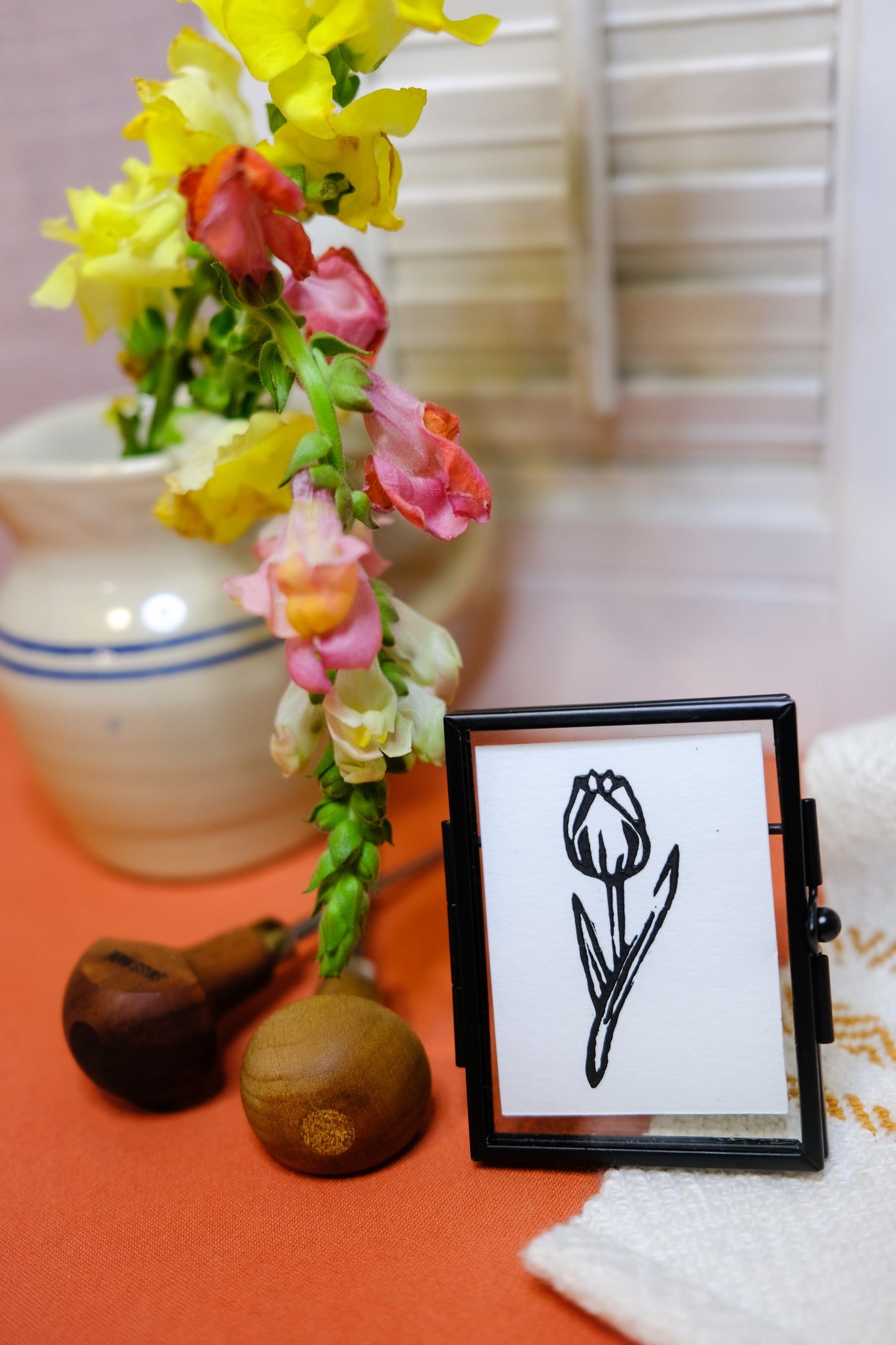 Tulip - flower collection