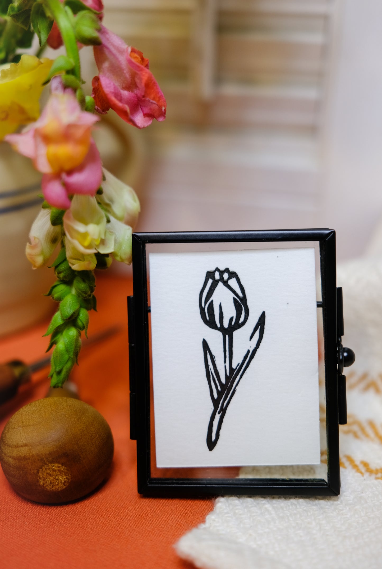 Tulip - flower collection