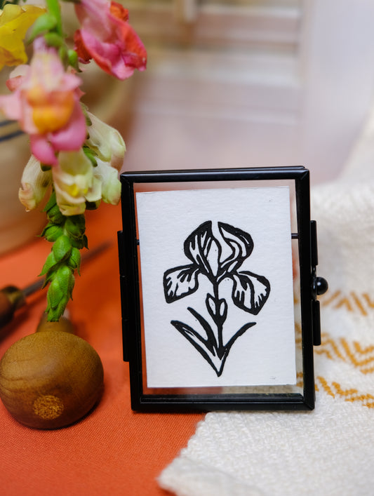 Iris print - flower collection