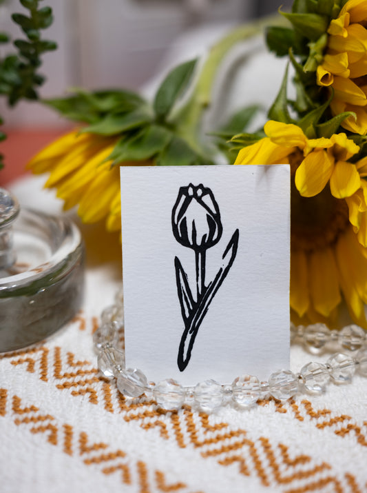 Tulip - flower collection