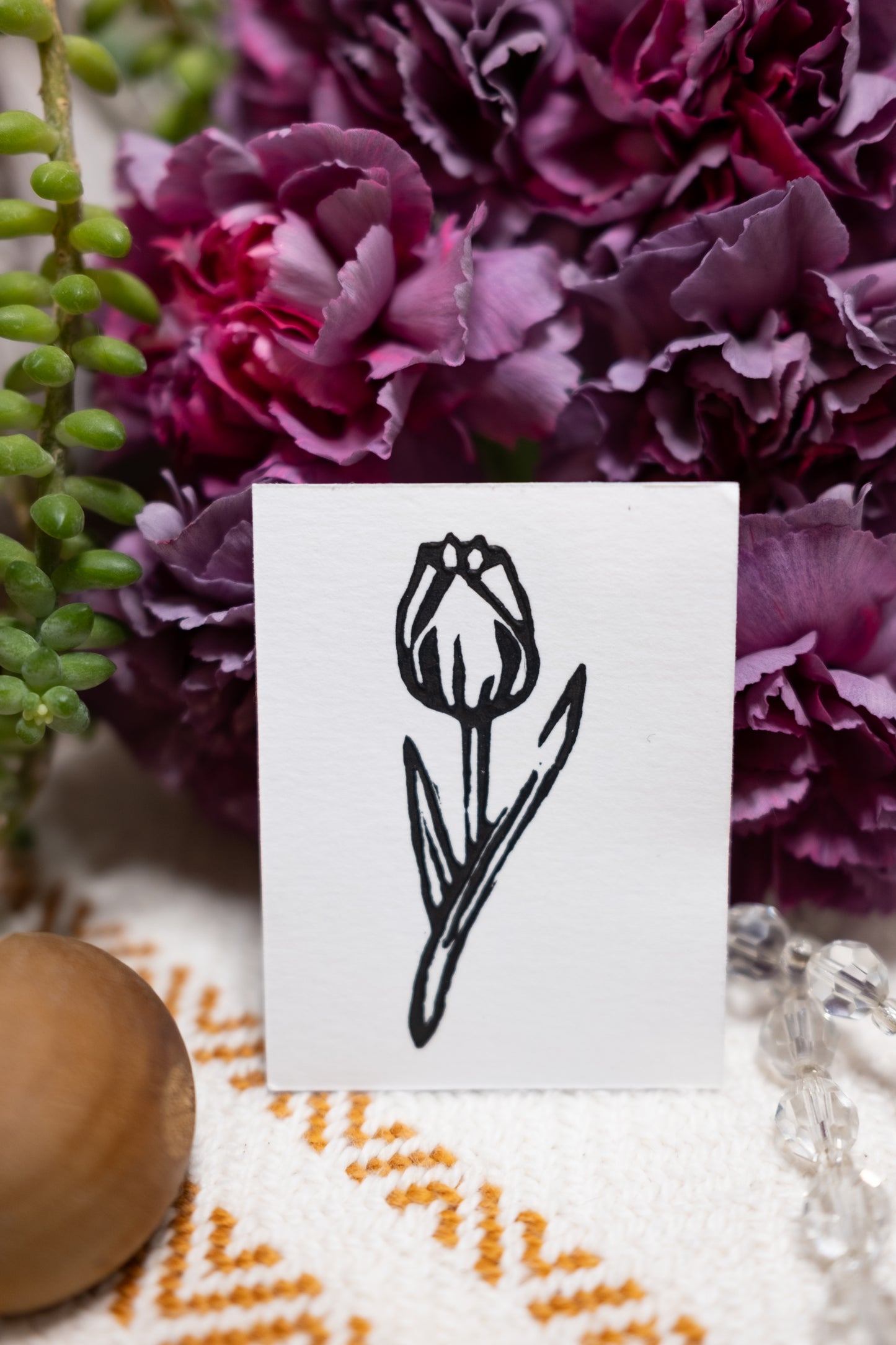 Tulip - flower collection