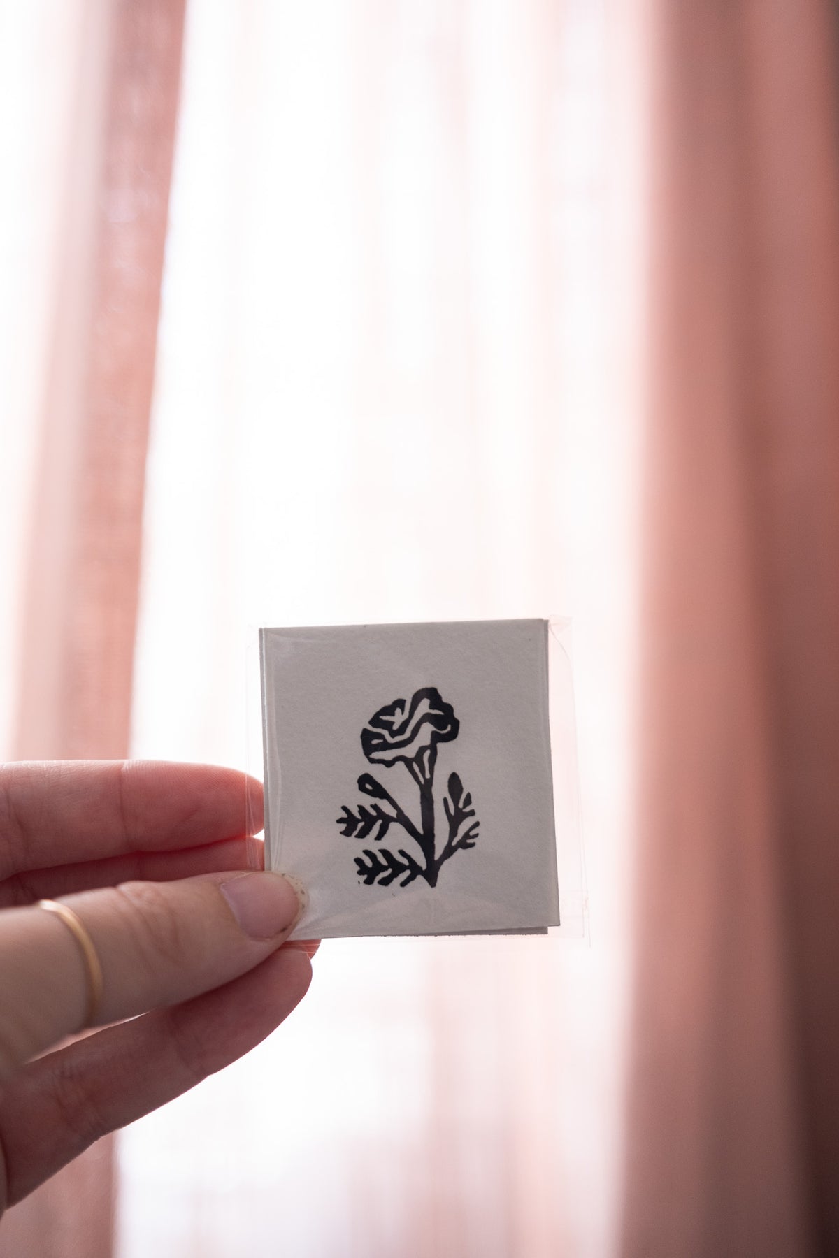 Small Chrysanthemum - flower